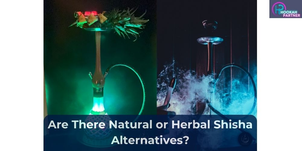 Are There Natural or Herbal Shisha Alternatives?