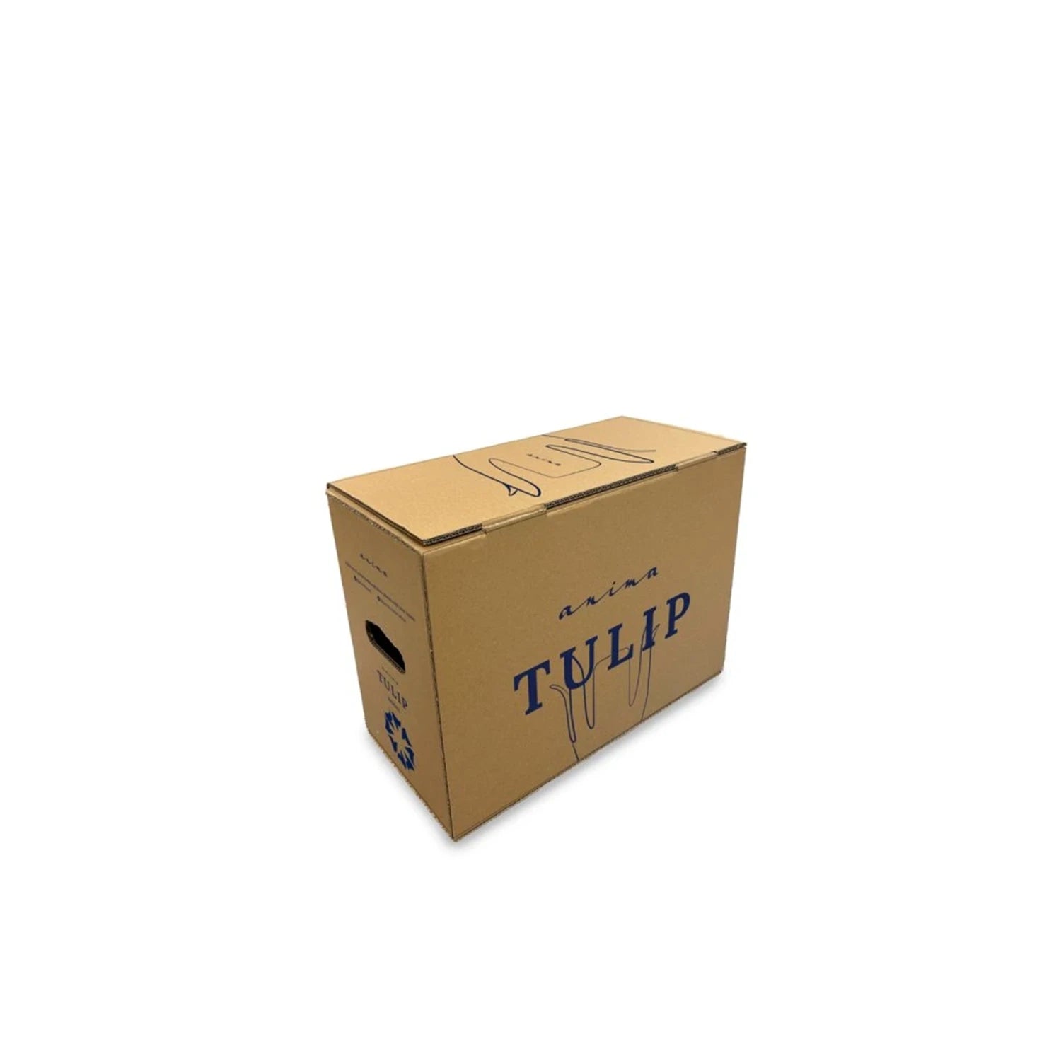 Anima TULIP Hookah Gold